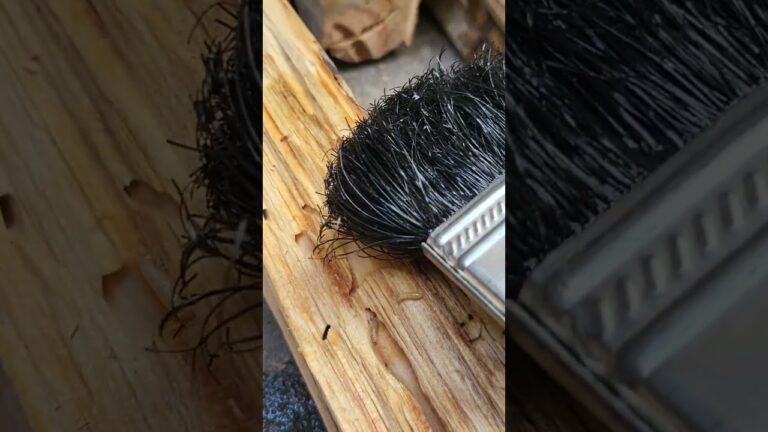 como eliminar la polilla de la madera con gasoil
