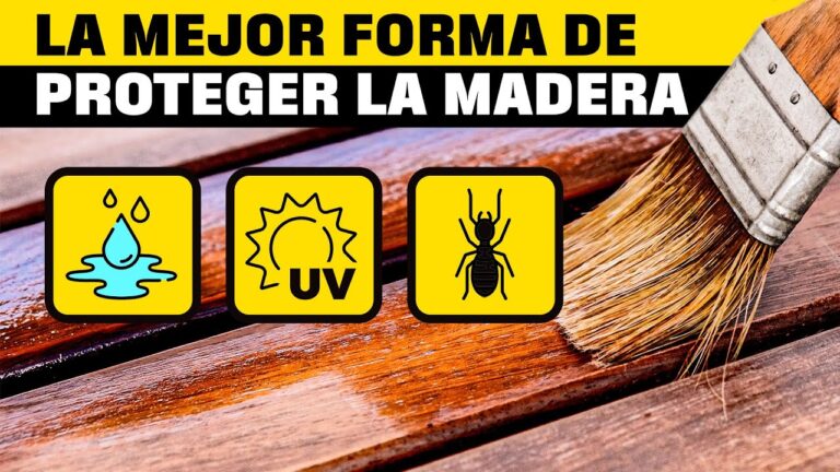 el mejor producto para tratar la madera contra las polillas