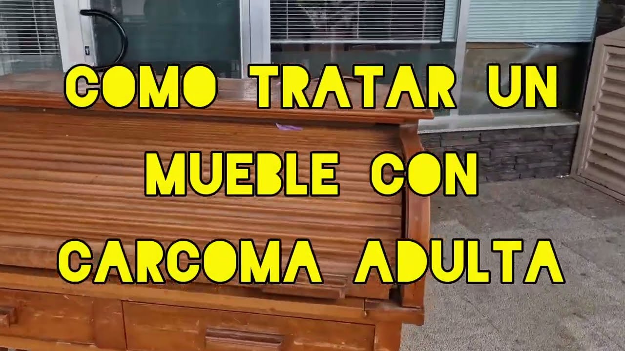 polilla muebles antiguos