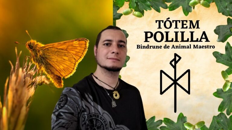 animal espiritual polilla