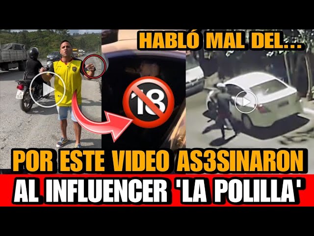 creador de contenido la polilla