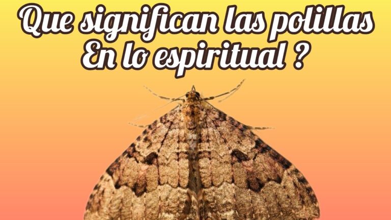 polilla de la muerte significado espiritual