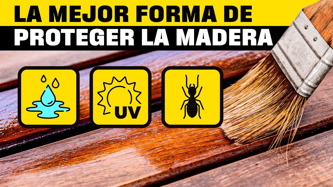 tratamiento para una puerta de madera con polillas y barnizar