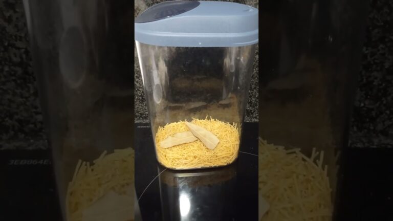larvas polillas cocina
