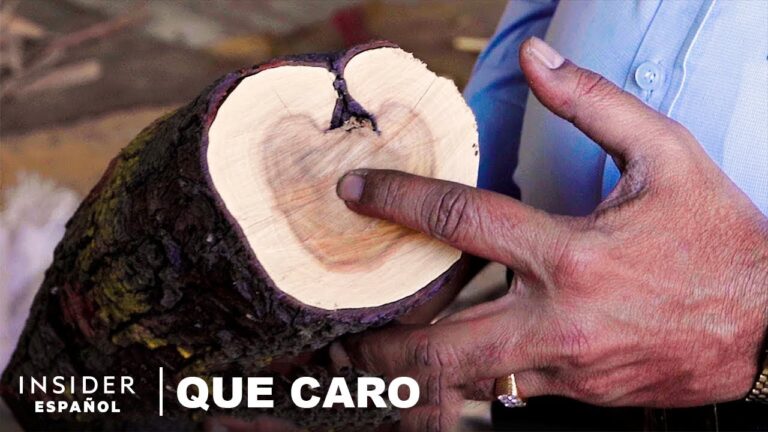 madera de sándalo para la polilla