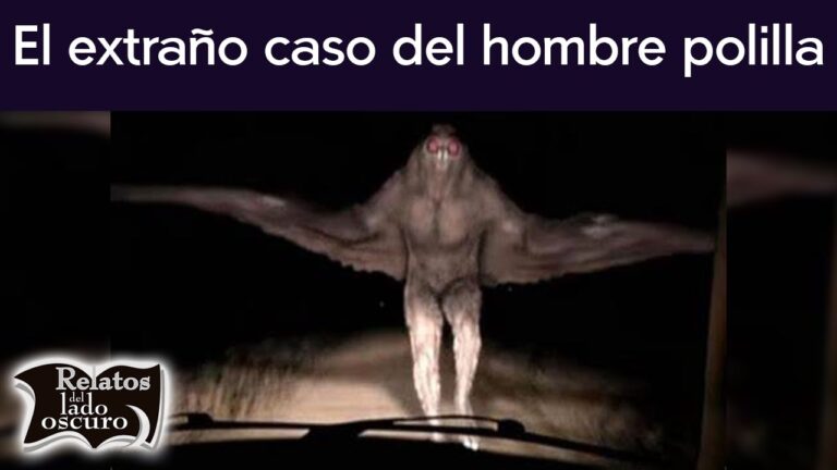 polilla oscura