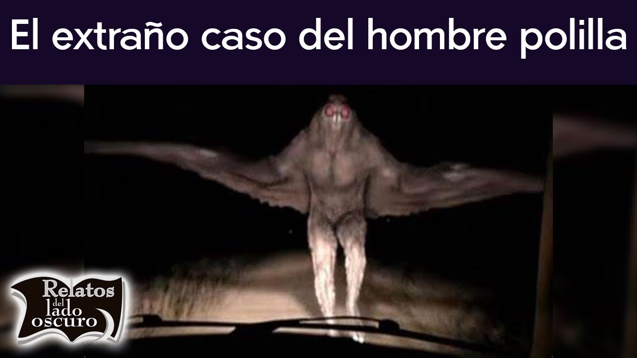 polilla oscura