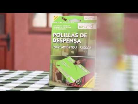 trampa polilla alimentaria