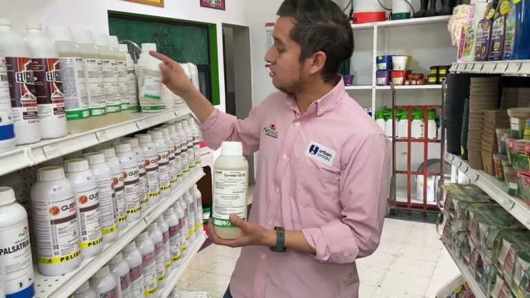 fumigación para polilla