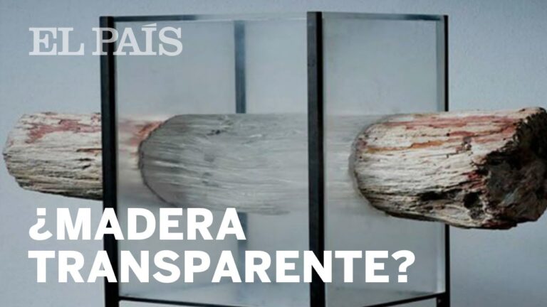 polilla de madera transparente