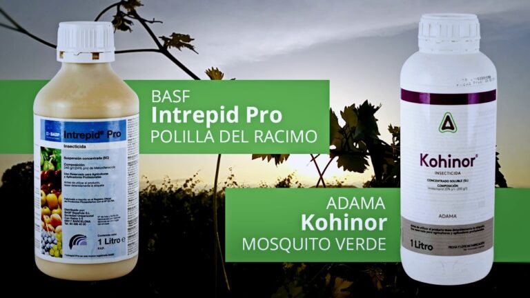polilla del racimo insecticidas