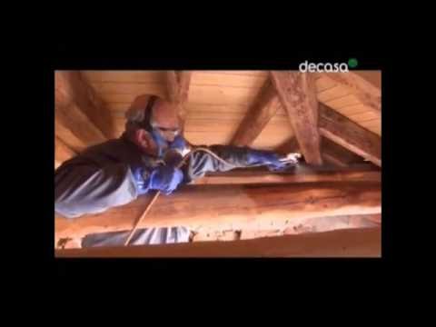 producto para polillas techo madera