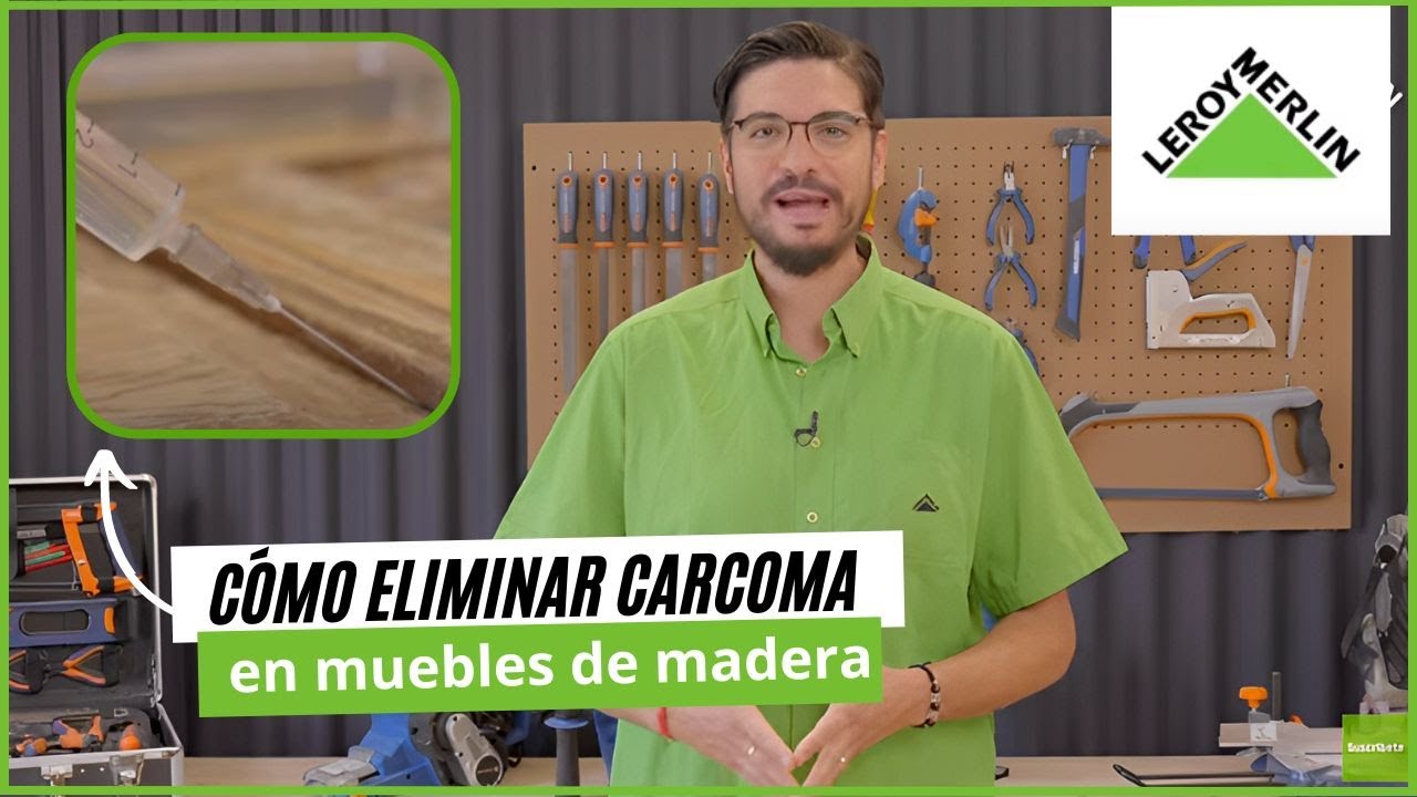 carcoma y polilla es lo mismo
