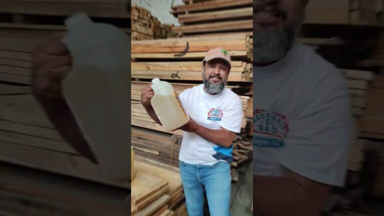 como proteger la madera de la polilla