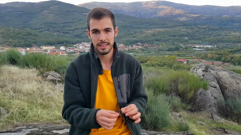 polilla esfinge de la muerte
