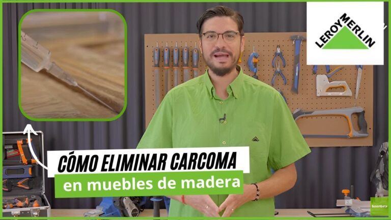 polilla madera tratamiento