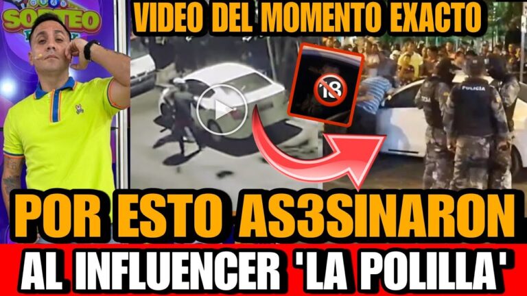 porque mataron a la polilla