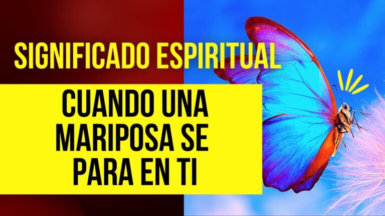 una polilla se posa en mi