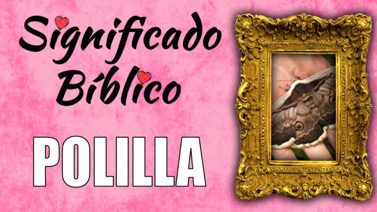 polilla significado bíblico
