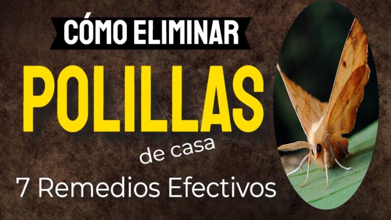 repelente de polillas