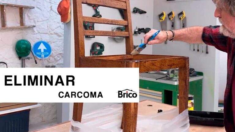 restauración de muebles con polilla